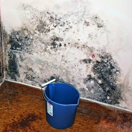 A white wall with mold